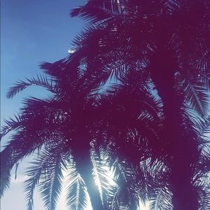 Meet your Posher, Robyn